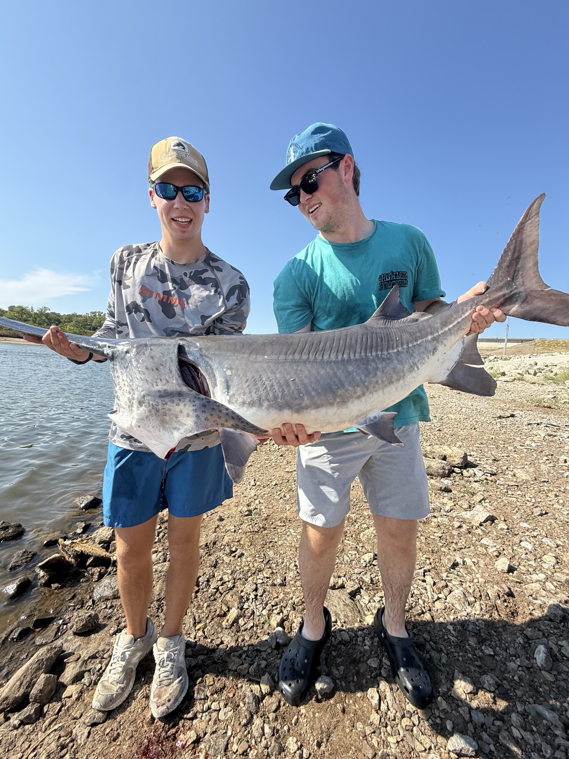 Anglers holding a large paddlefish on the shoreline